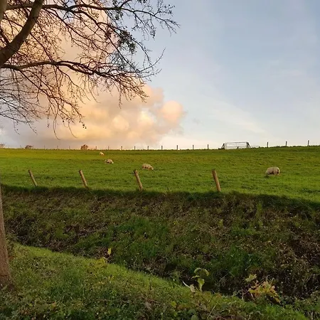 شقة Deichblick 58 Andijk