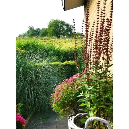 Deichblick 58 شقة *